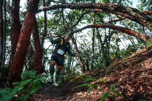 BIB: 
                            <button type="button" onclick="openModal(26345887)" class="btn btn-primary btn-sm float-right btn-popup" data-toggle="modal" data-target=".modal-high-quality">
                        <i class="fas fa-shopping-cart"></i> Add to Cart
                    </button>
                                            <button type="button" onclick="isThisMe(26345887, true)" class="btn btn-success btn-sm float-right btn-popup btn-isme hidden" data-toggle="tooltip" data-placement="bottom" title="นี่คือรูปของคุณใช่ไหม คลิกที่นี่เพื่อเอาเข้าอัลบั้ม">
                        <i class="fas fa-plus"></i> Add to album
                    </button>
                    <button type="button" onclick="isThisMe(26345887, false)" class="btn btn-warning btn-sm float-right btn-popup btn-isnotme hidden">
                        <i class="fas fa-ban"></i> Remove from album
                    </button>